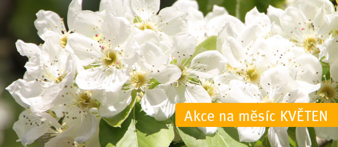 Akce na měsíc květen 2012